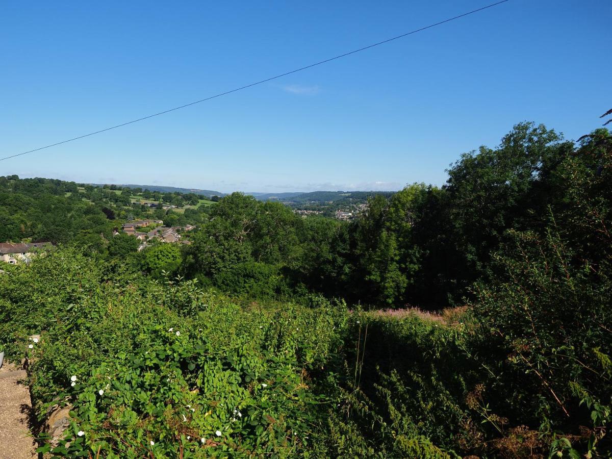 Rose Matlock (Derbyshire)